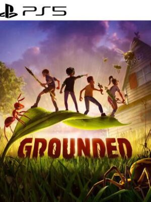 GROUNDED PS5