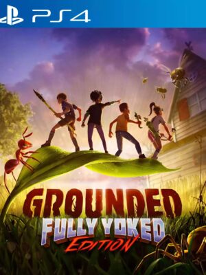 GROUNDED PS4