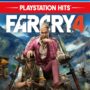FAR CRY® 4 PS4