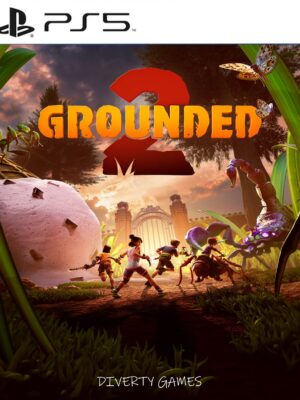 GROUNDED PS5